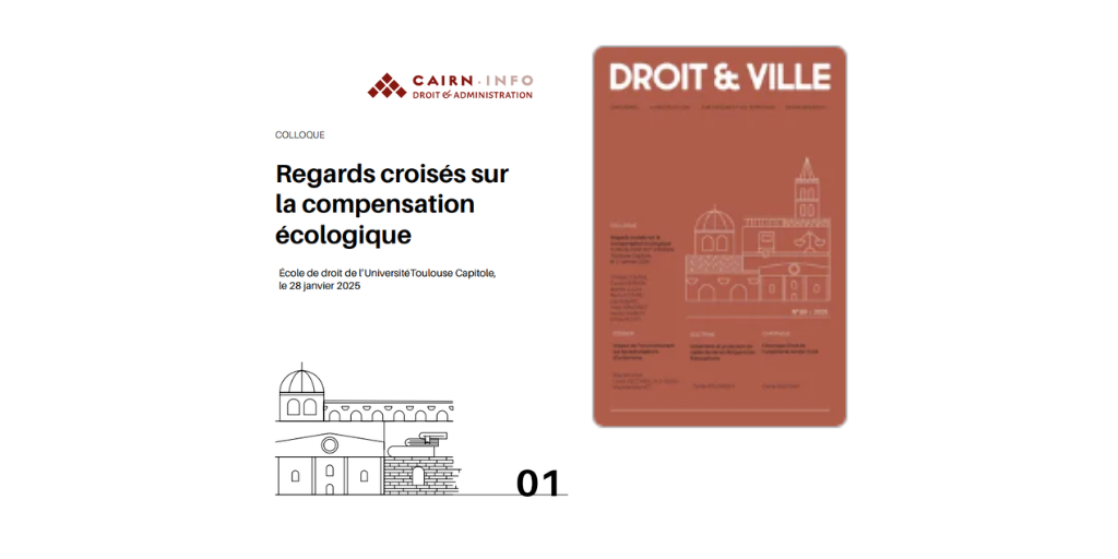 [Dossier Villes et Droits] “Un seul projet pour deux contentieux” – par Elsa Sacksick