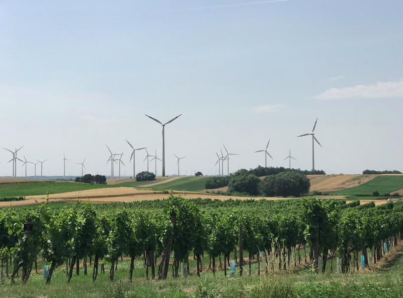 Autorisation environnementale : la régularisation d&rsquo;une dérogation « espèces protégées » reste possible jusque devant le juge de cassation